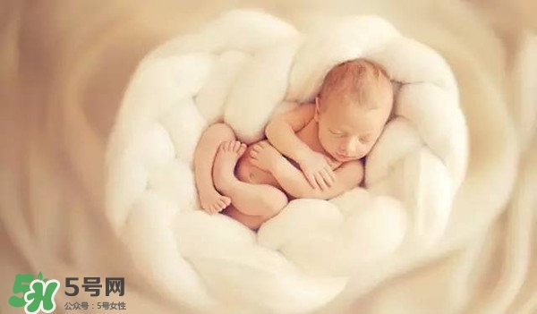 早教課程有哪些 早教課程都有什么 早教課程有哪些 早教課程都有什么