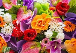 花粉過敏是感冒嗎？花粉過敏和感冒的區(qū)別