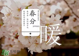 春分種什么菜？春分適合種什么菜？