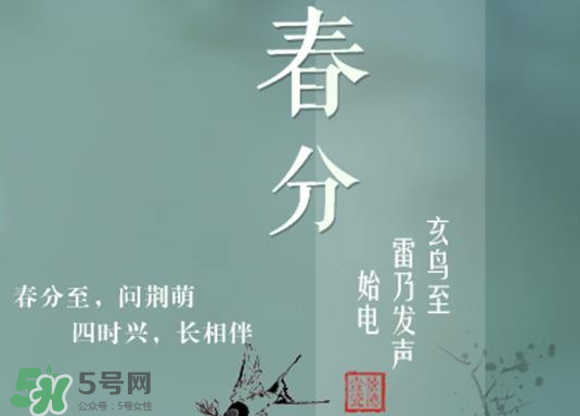 春分種什么菜？春分適合種什么菜？