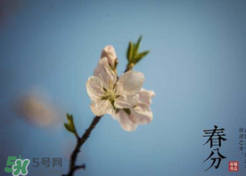 春分種什么菜？春分適合種什么菜？