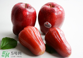 蛇果是脆的還是面的？蛇果是粉的還是脆的？