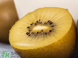 奇異果多少錢一斤？奇異果多少錢一個？