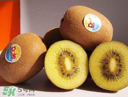 奇異果多少錢一斤？奇異果多少錢一個？