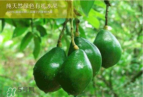 牛油果可以放多久？牛油果放冰箱能放多久？