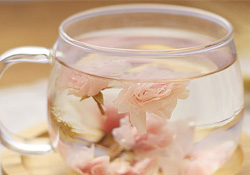 櫻花可以泡水嗎？櫻花泡水喝的功效與作用