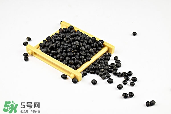 老人補腎吃什么好 老人補腎食物有哪些 老人補腎吃什么好 老人補腎食物有哪些