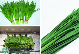 驚蟄前后可以種什么？驚蟄前后種什么蔬菜？