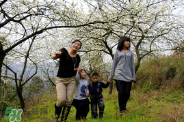 驚蟄穿什么衣服？驚蟄穿什么？