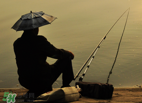 驚蟄能釣魚嗎？驚蟄釣什么魚好？