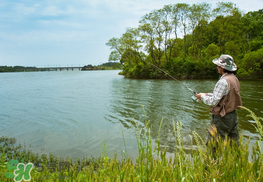 驚蟄能釣魚嗎？驚蟄釣什么魚好？