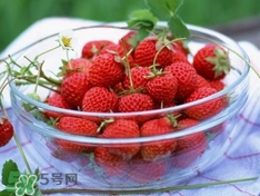懷孕5個月可以吃草莓嗎?懷孕5個月能吃草莓嗎? 懷孕5個月可以吃草莓嗎?懷孕5個月能吃草莓嗎?
