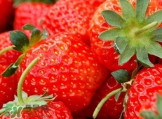懷孕5個月可以吃草莓嗎?懷孕5個月能吃草莓嗎? 懷孕5個月可以吃草莓嗎?懷孕5個月能吃草莓嗎?