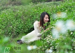 花粉過敏戴口罩有用嗎？花粉過敏戴什么口罩好？