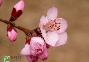 2017年春分是什么時(shí)候？2017年春分是幾月幾號(hào)？