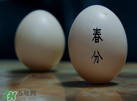 春分為什么能豎蛋？春分豎蛋原理