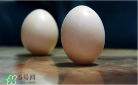春分為什么能豎蛋？春分豎蛋原理