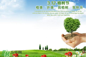 植樹節(jié)為什么要種樹？植樹節(jié)種樹的意義