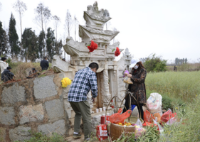 春分可以上墳嗎？春分可以掃墓嗎？