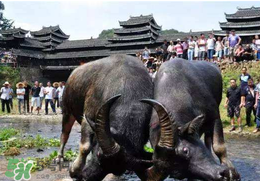 春社日怎么計(jì)算？2017年春社怎么算？