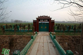 新墳不過(guò)社是什么意思？新墳不過(guò)社2017年哪一天？