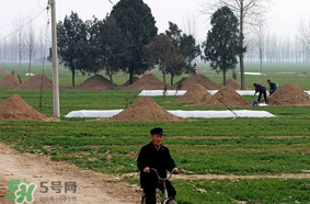 新墳不過(guò)社是什么意思？新墳不過(guò)社2017年哪一天？