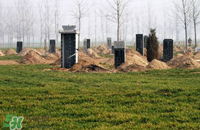 新墳不過(guò)社是什么意思？新墳不過(guò)社2017年哪一天？