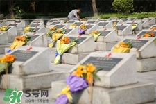 2017年清明節(jié)天氣怎么樣？2017年清明節(jié)天氣情況預(yù)測(cè)