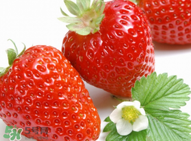 三月份有草莓嗎？三月份的草莓可以吃嗎？