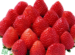 三月份有草莓嗎？三月份的草莓可以吃嗎？