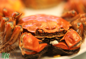 3月份還有大閘蟹嗎？3月份的大閘蟹能吃嗎？