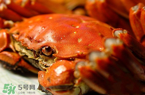 三月份吃什么螃蟹？3月份吃什么螃蟹？