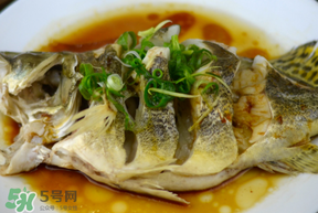 三月份吃什么魚(yú)？3月份吃什么魚(yú)好？