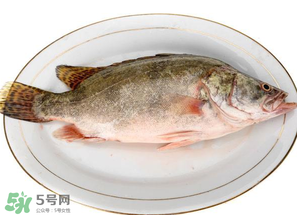 三月份吃什么魚(yú)？3月份吃什么魚(yú)好？