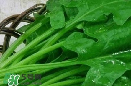 富含葉酸的食物有哪些？富含葉酸的蔬菜水果