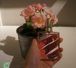 蘭蔻和迪奧香水哪個好？蘭蔻和迪奧香水推薦