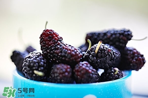 桑葚怎么吃 桑葚吃法 桑葚怎么吃 桑葚吃法