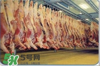 富含葉酸的食物有哪些？富含葉酸的蔬菜水果