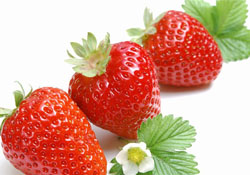 家里可以種草莓嗎？陽(yáng)臺(tái)上可以種草莓嗎？