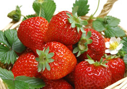 自己在家種草莓好養(yǎng)嗎？如何在家里種草莓？