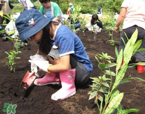 ?3月份可以種什么？?3月份可以種什么果樹？