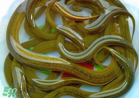 三月份可以釣黃鱔嗎？幾月可以釣黃鱔？