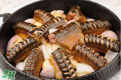 三月份可以釣黃鱔嗎？幾月可以釣黃鱔？