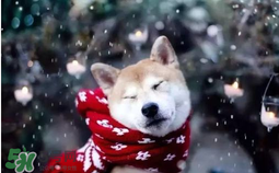 3月份還有冷空氣嗎？什么時(shí)候冷空氣結(jié)束？