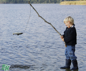 3月份釣什么魚？3月份怎么釣魚？