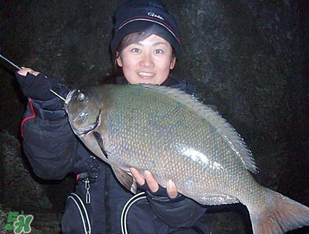 3月份釣魚(yú)用什么餌料？三月份釣魚(yú)用什么魚(yú)餌？