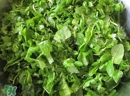 薺菜怎么洗？薺菜怎么洗才干凈？