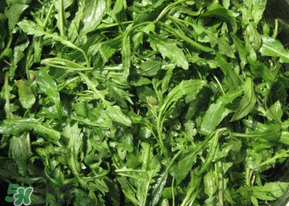 芥菜什么人不能吃？薺菜適合什么人吃？