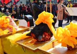 春分可以祭祀嗎？祭祀在春分前還是后？