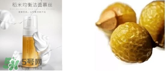 素野稻米潔面慕斯怎么用？素野稻米潔面慕斯使用方法